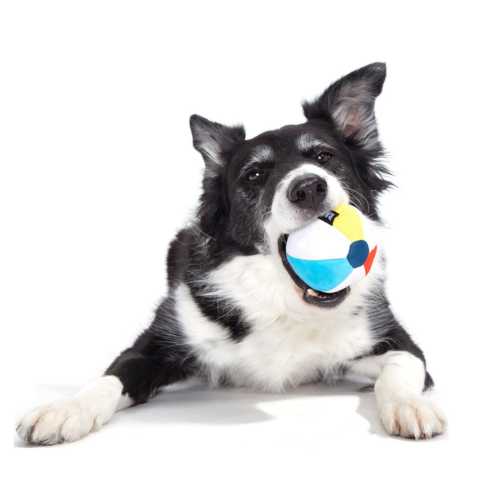 Spike The Beach Ball Super Chewer Durable 2-in-1 + Fetch Dog Toy