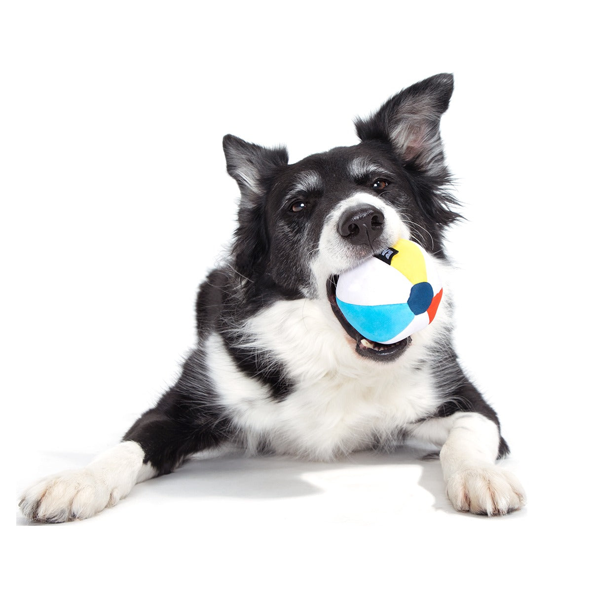 Spike The Beach Ball Super Chewer Durable 2-in-1 + Fetch Dog Toy