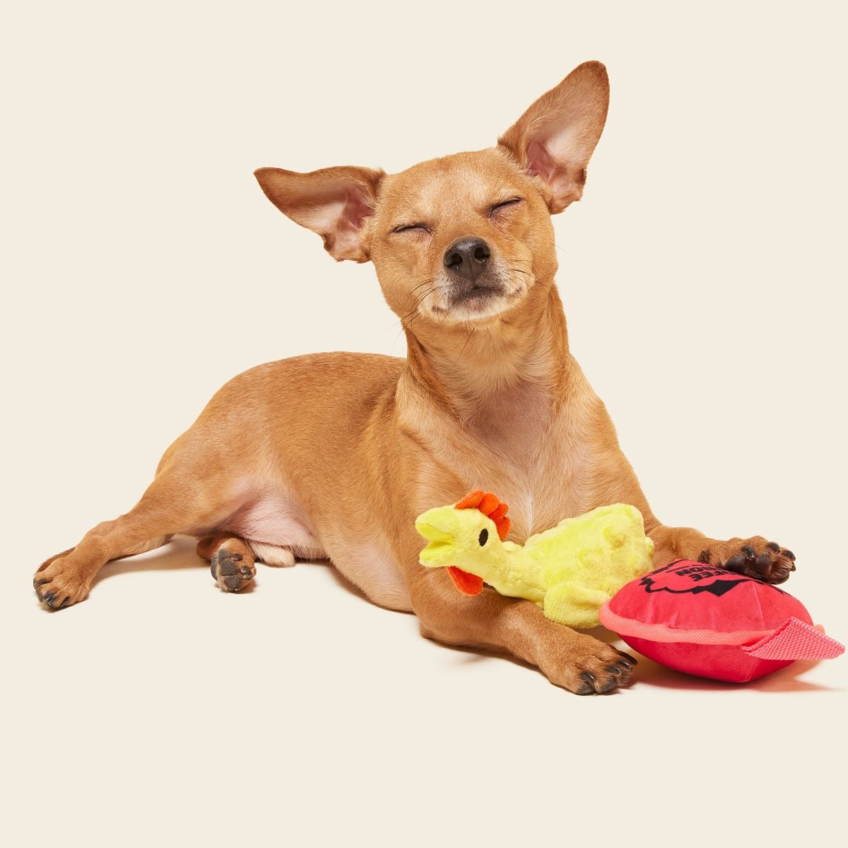 April Fools Tools Plush Multi-Part Tug Dog Toy