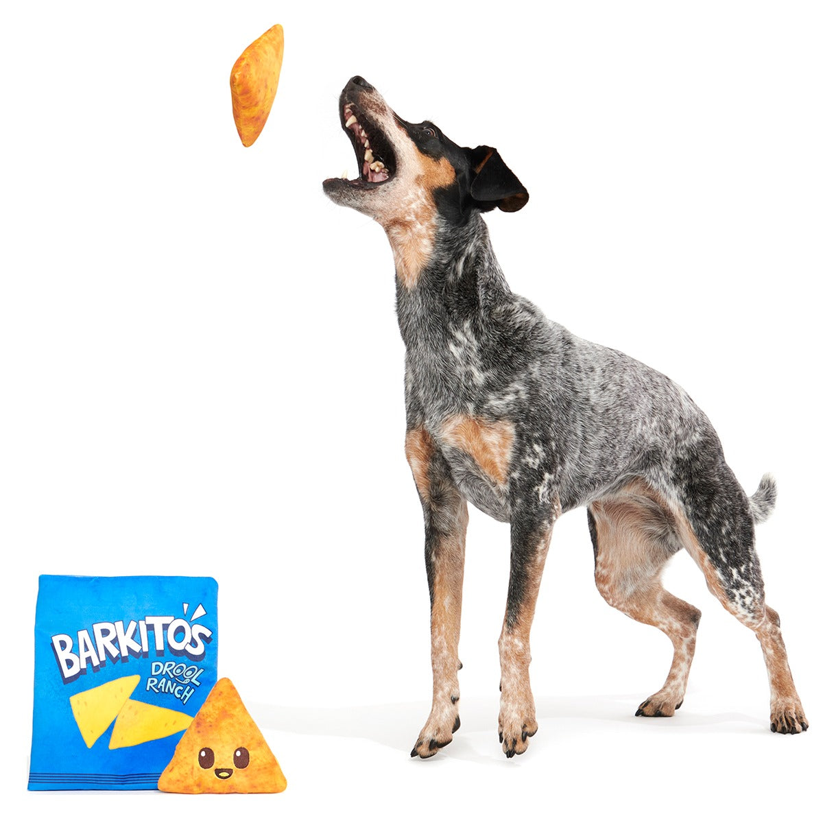 Drool Ranch Chips Plush Enrichment + Multi-Part Dog Toy
