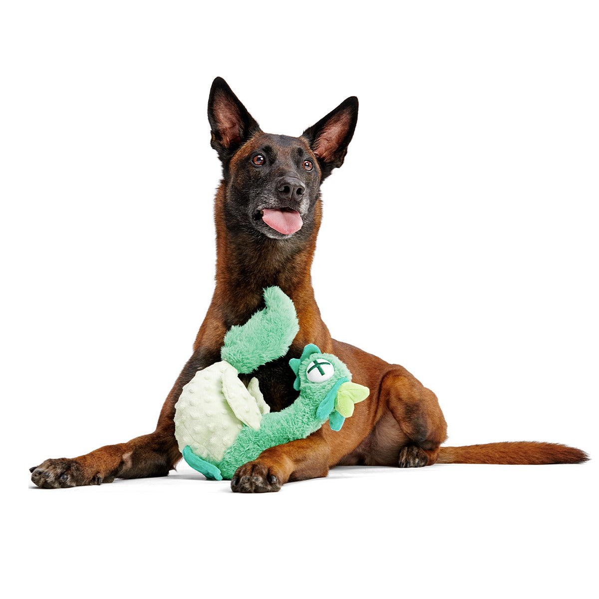 Poultrygeist Plush Tug Dog Toy