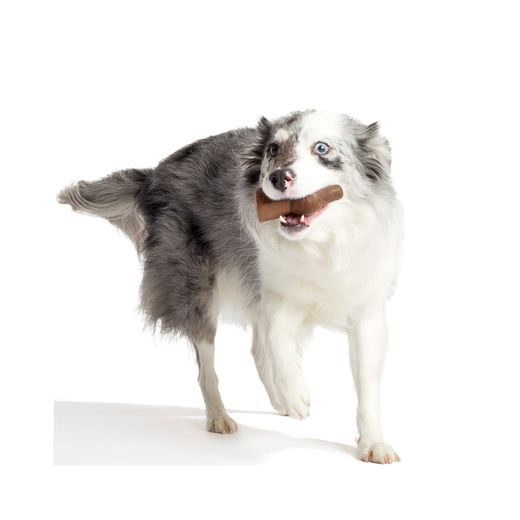 Yummy Bunny Super Chewer Durable Gnaw Dog Toy