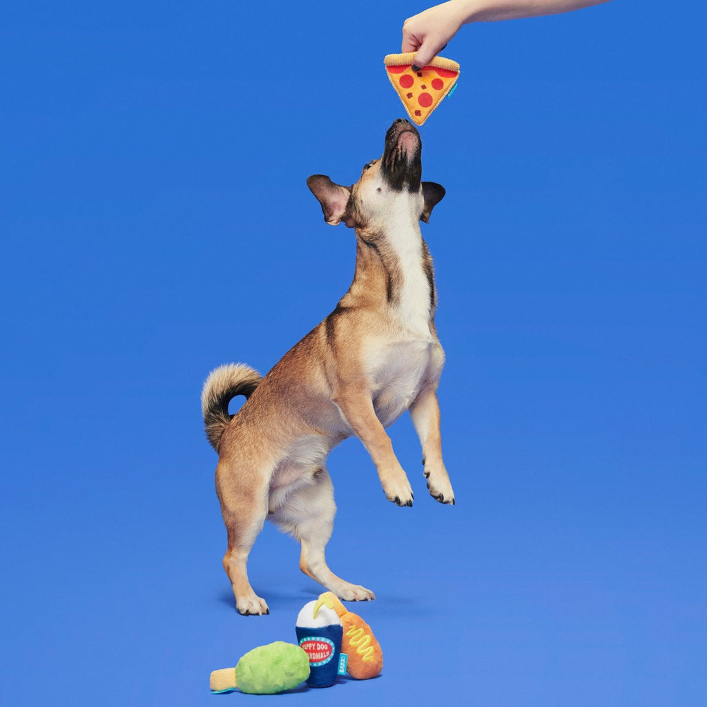 Thrill Squeaker Snacks Plush Multi-Part Dog Toy