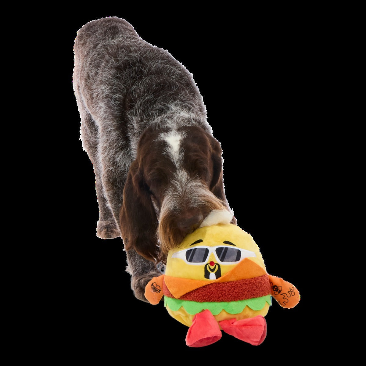 FlavortownTM Super Fan Bundle (Large)