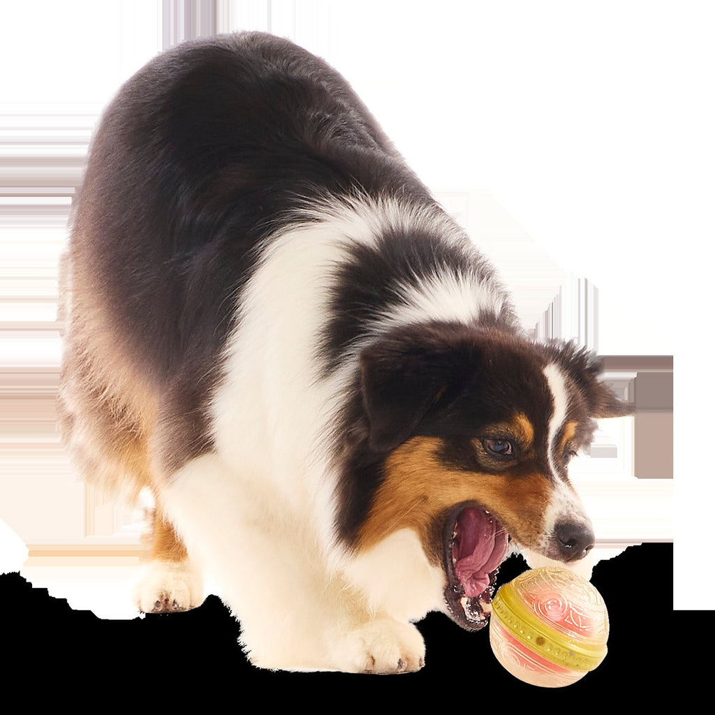 RemembrallTM Super Chewer Durable Fetch Dog Toy