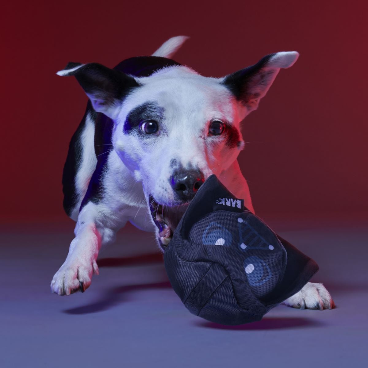 Dark Side Star WarsTM Super Chewer Durable Bundle 2-in-1 + Fetch Dog Toy
