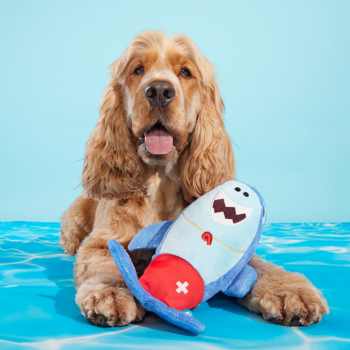 Pool Shark Shane Plush Tug Dog Toy