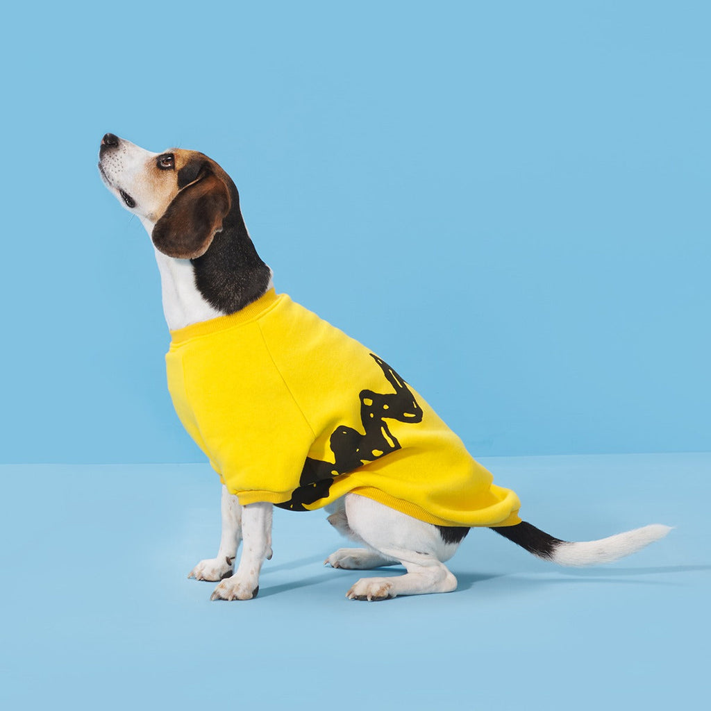 Peanuts Dog Sweatshirt