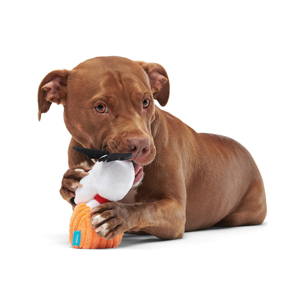 The Amazing BatDog Plush Tug Dog Toy