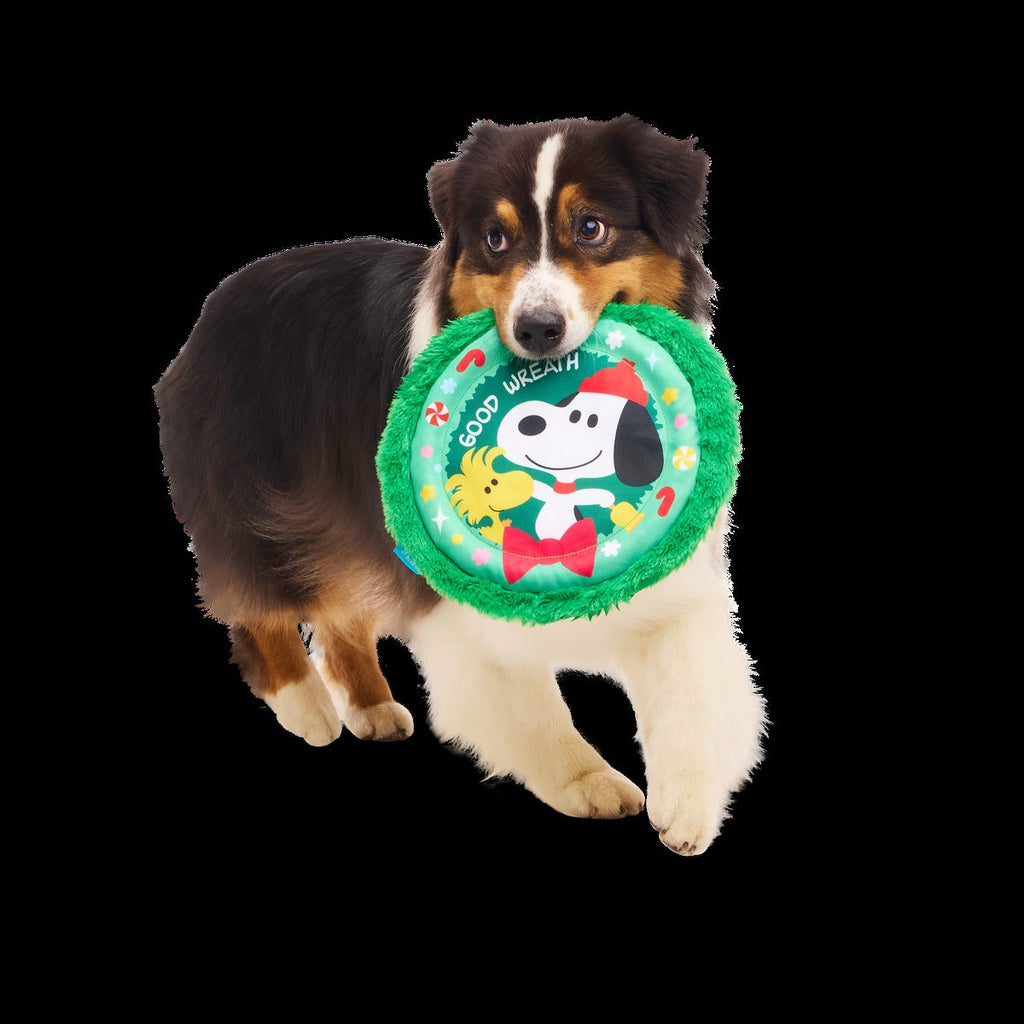 Disc The Halls Plush Fetch Dog Toy