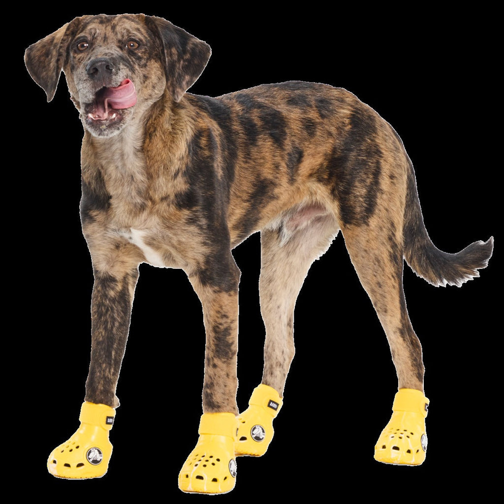 CrocsTM Shoes For Dogs
