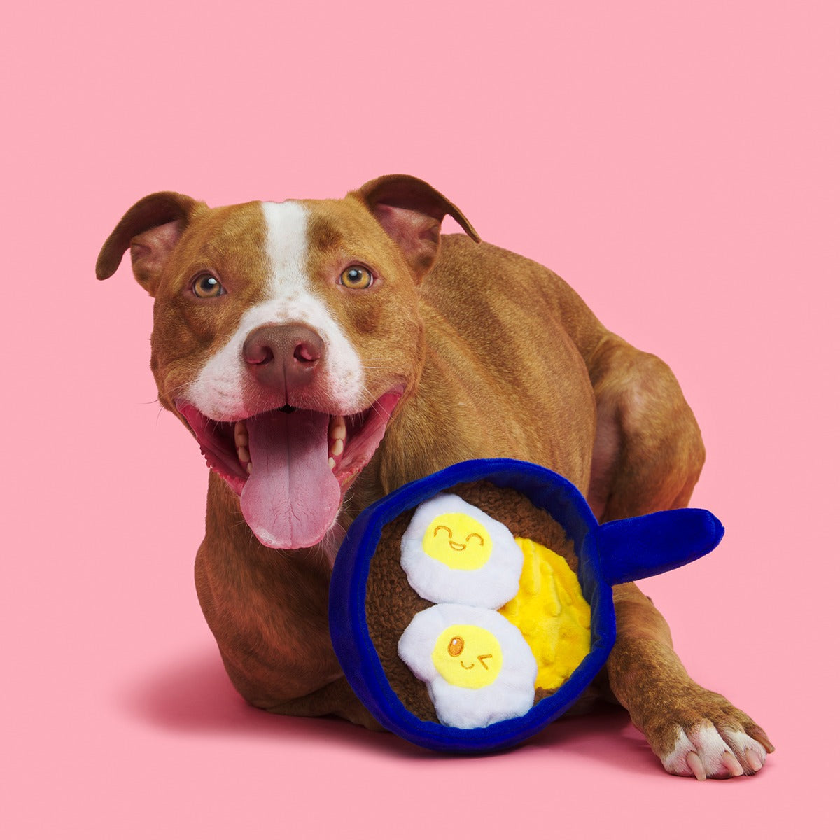Waggos Rancheros Plush Tug Dog Toy