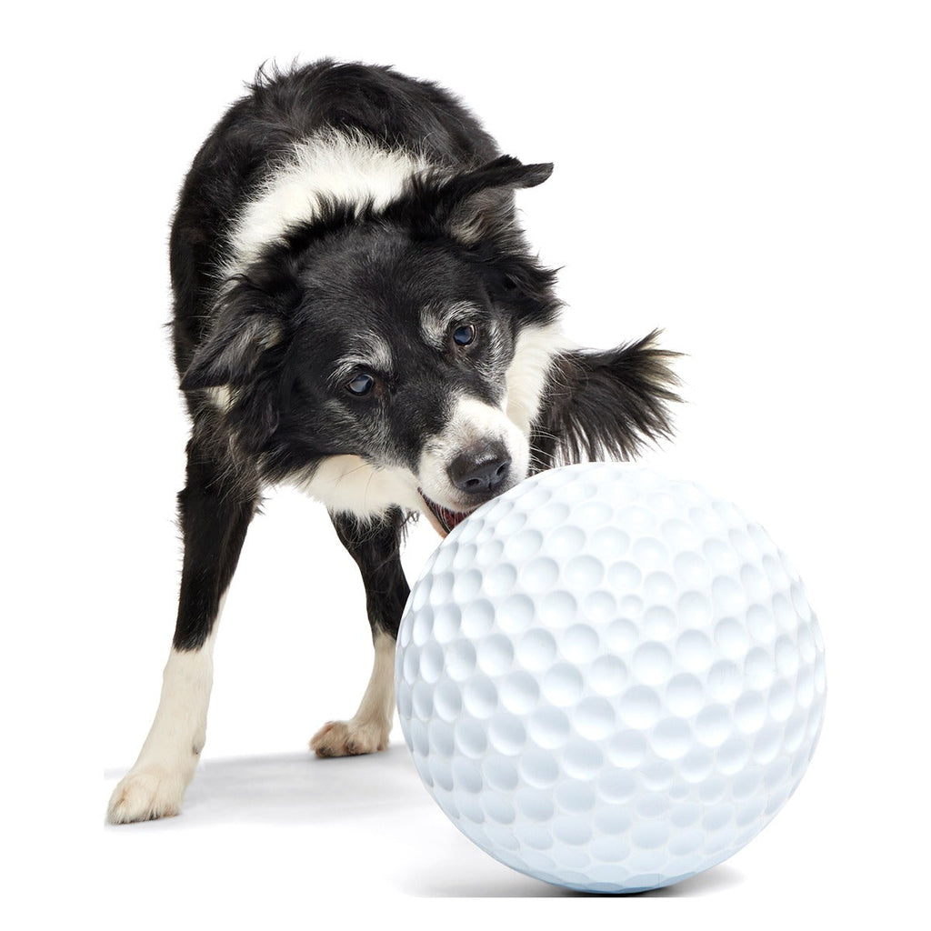 Big Swing Golf Ball Super Chewer Durable Extra-Large + Fetch Dog Toy