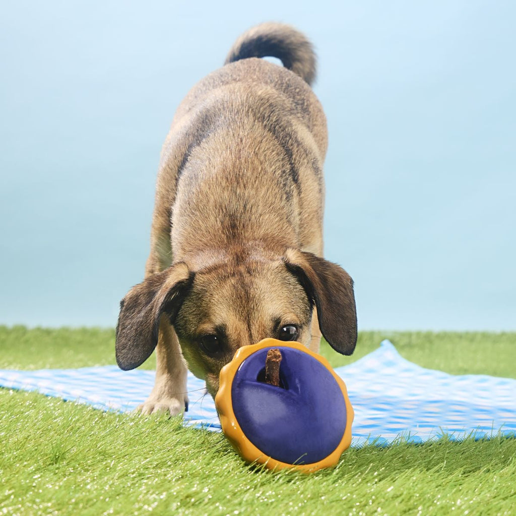 Blueberry Pie Super Chewer Durable Enrichment Dog Toy