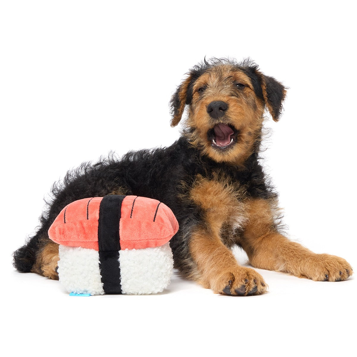 Super Tasty Tuna Sushi Plush Dog Toy