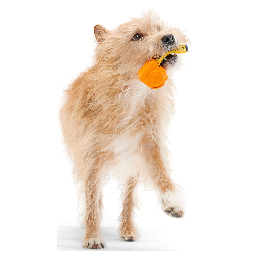 Tug Measure Super Chewer Durable Dog Toy