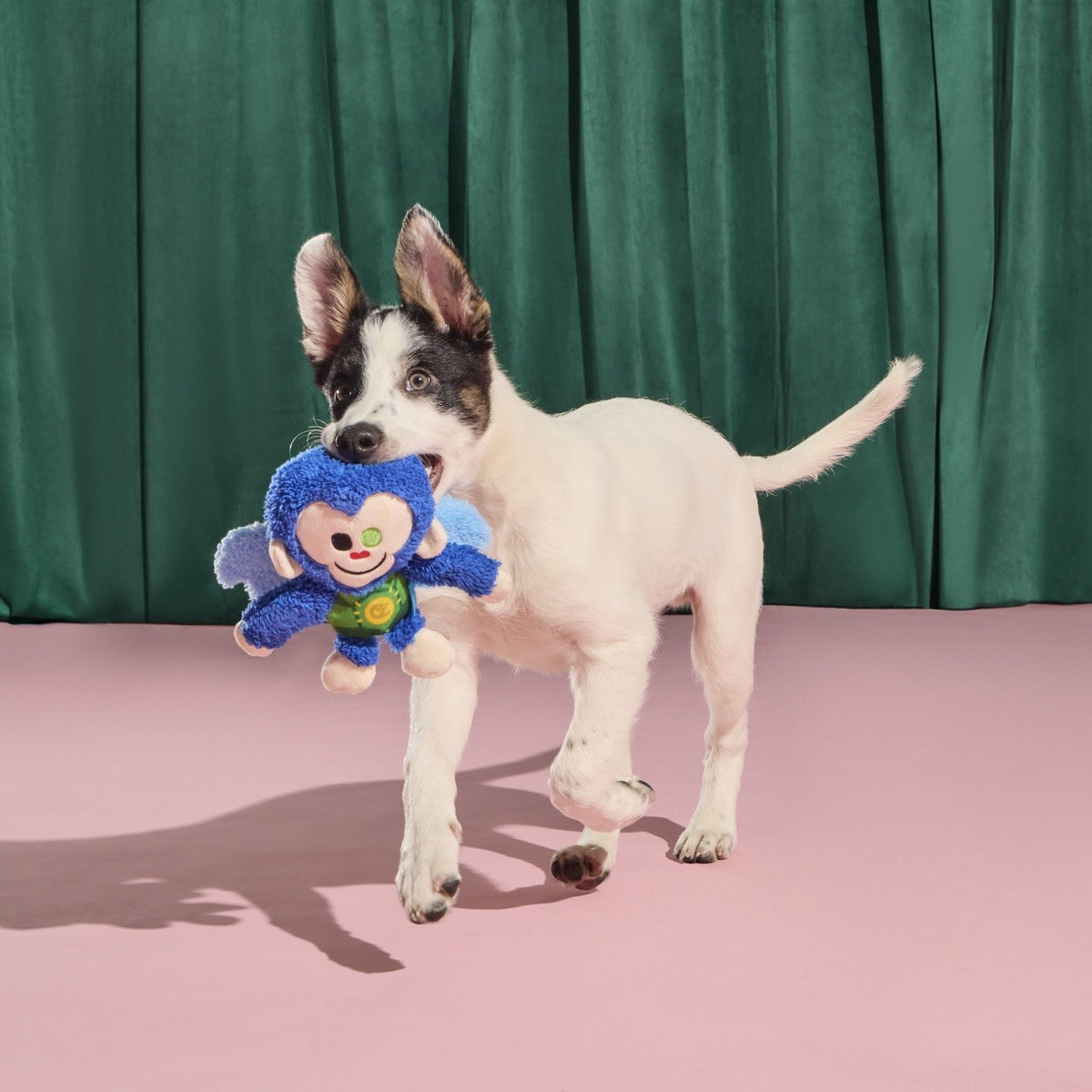 Defying Gravity Chistery Plush Tug Dog Toy