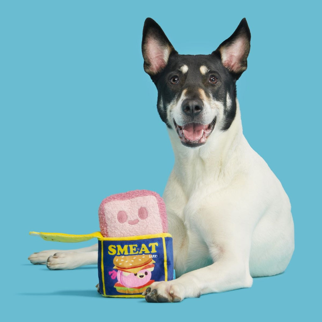 Canned Smeat Plush Multi-Part + Enrichment Dog Toy
