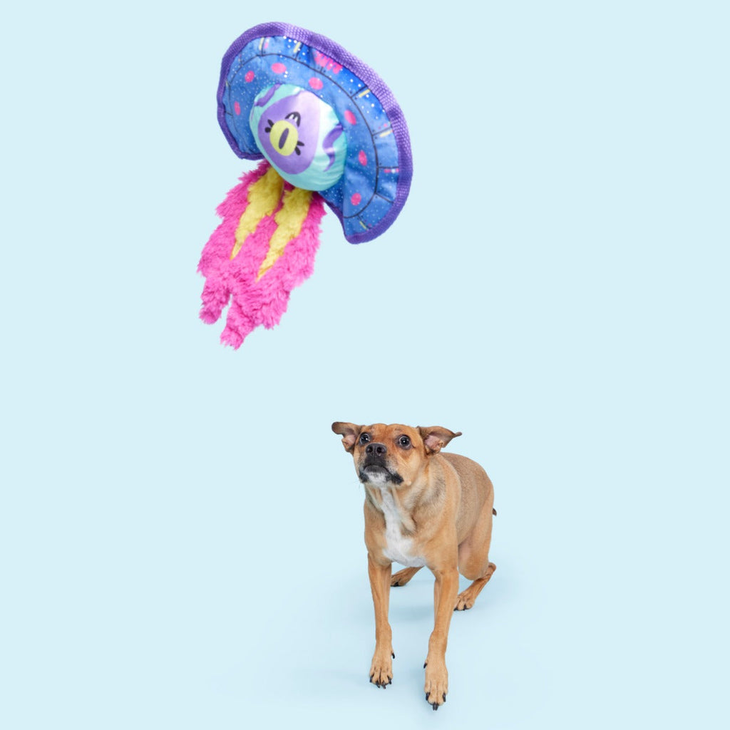 Blast Arf! Plush Tug Dog Toy