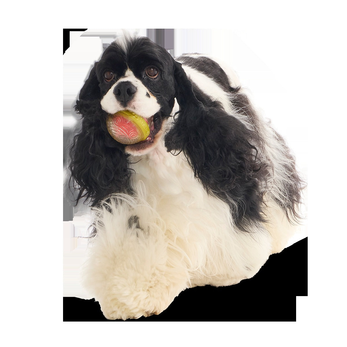 RemembrallTM Super Chewer Durable Fetch Dog Toy