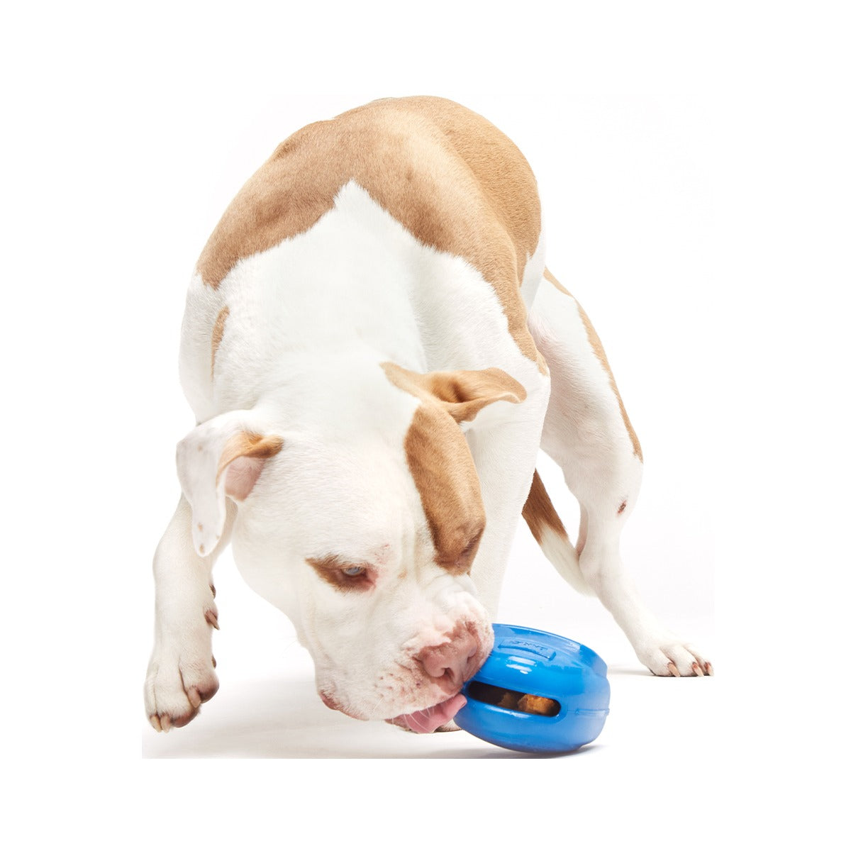 Knapsack Super Chewer Durable Enrichment Dog Toy