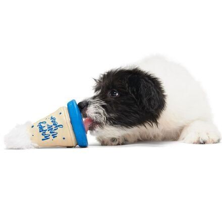 Chew Years Party Hat Durable Super Chewer Enrichment Dog Toy