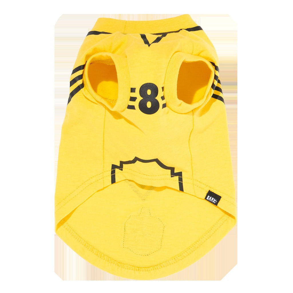 QuidditchTM Jersey