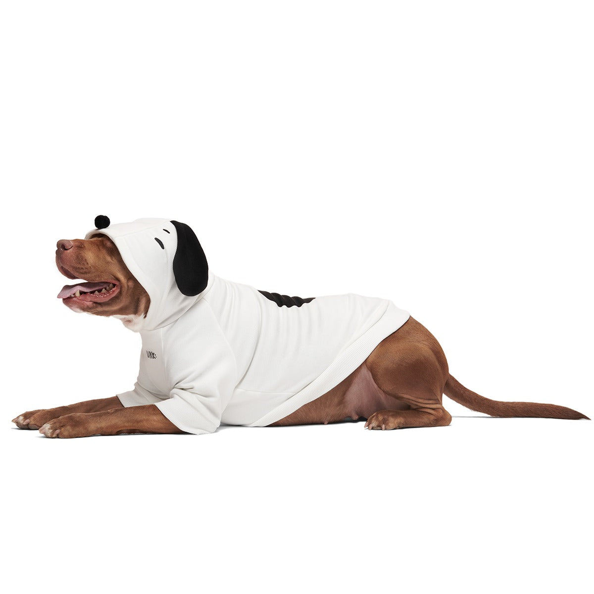 Snoopy Dog Hoodie