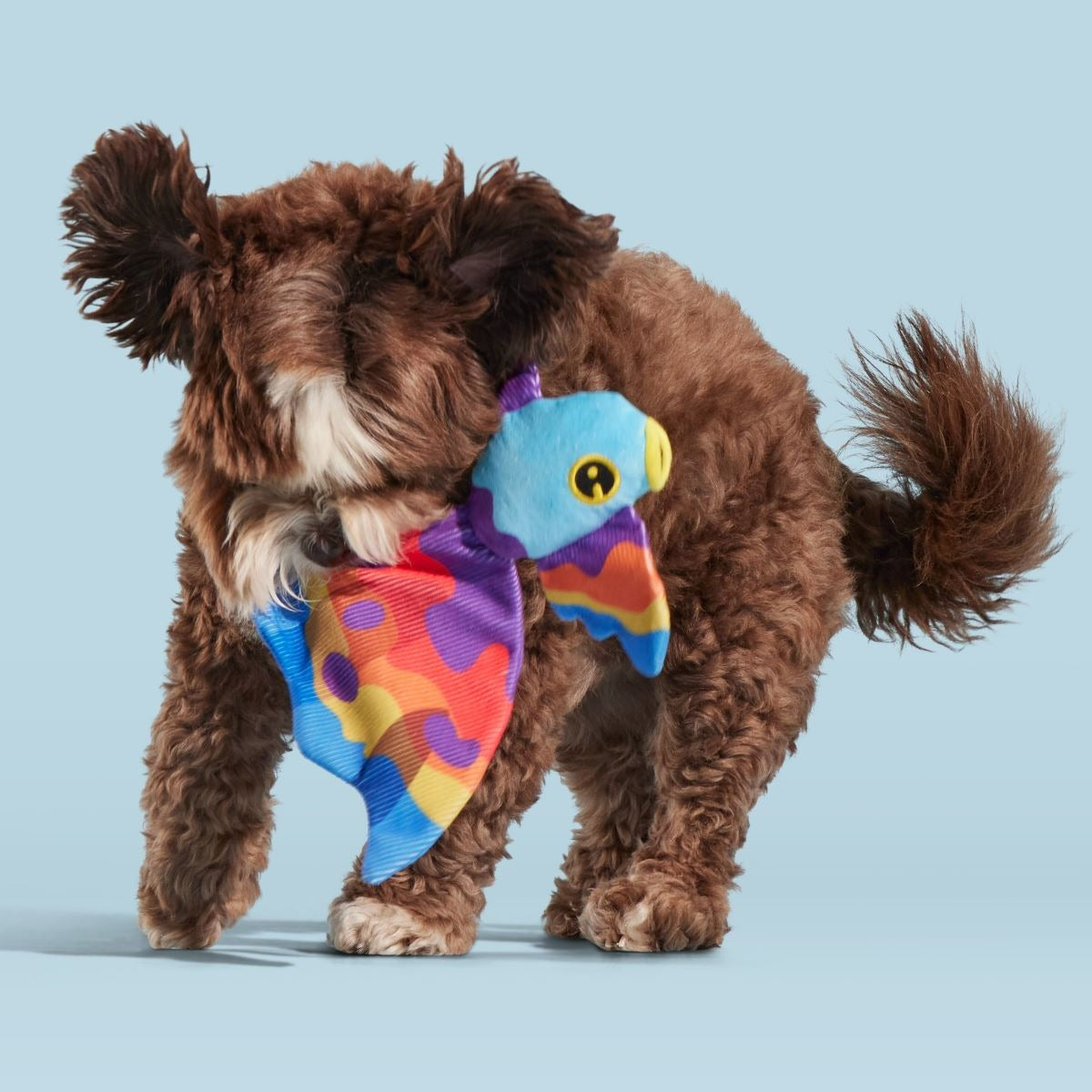 Beta Boop Plush Tug Dog Toy
