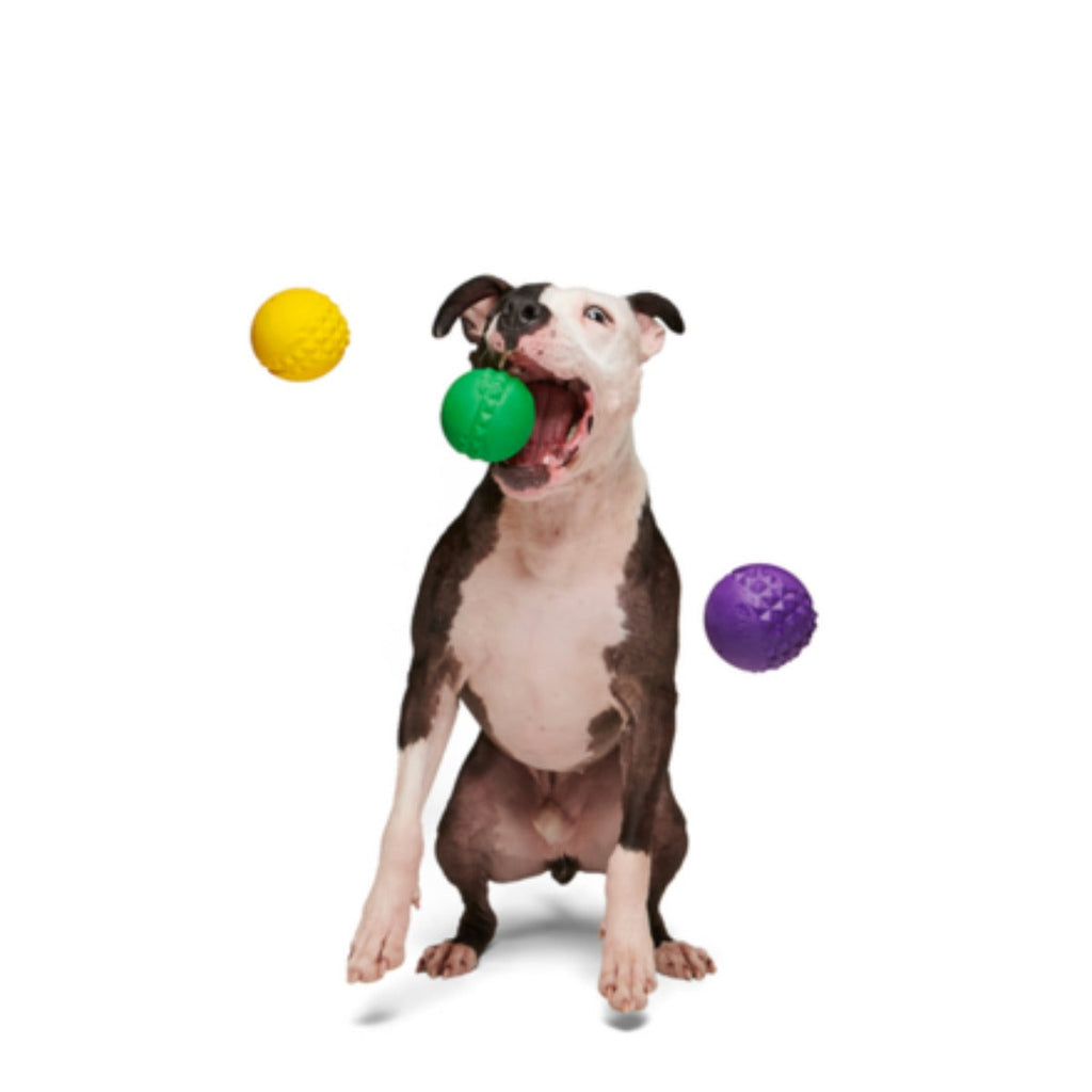 Mardi Growl Beads Durable Super Chewer Dog Toy