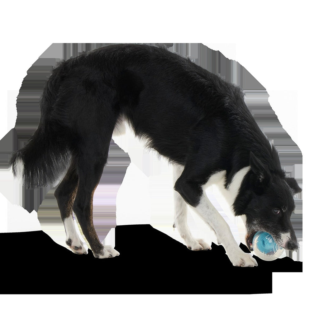 Apex Puzzler Super Chewer Durable Enrichment + Fetch Dog Toy
