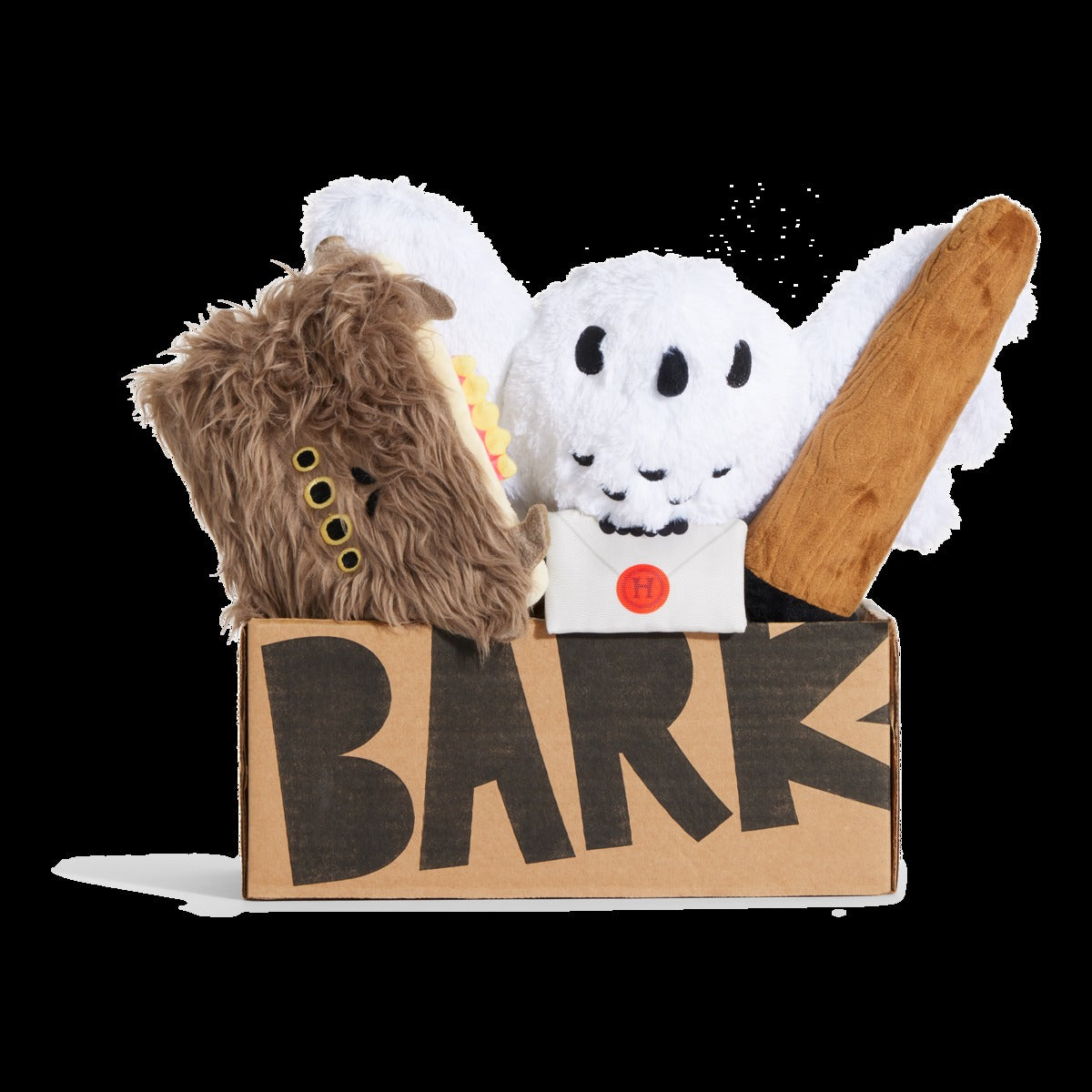 HARRY POTTERTM BarkBox - One Month Gift Box
