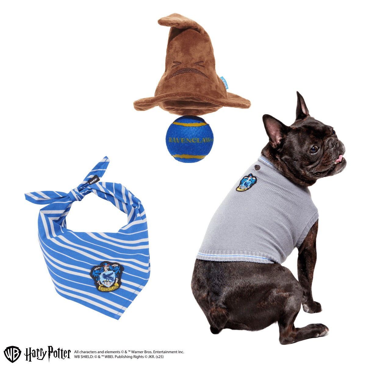 RavenclawTM Bundle