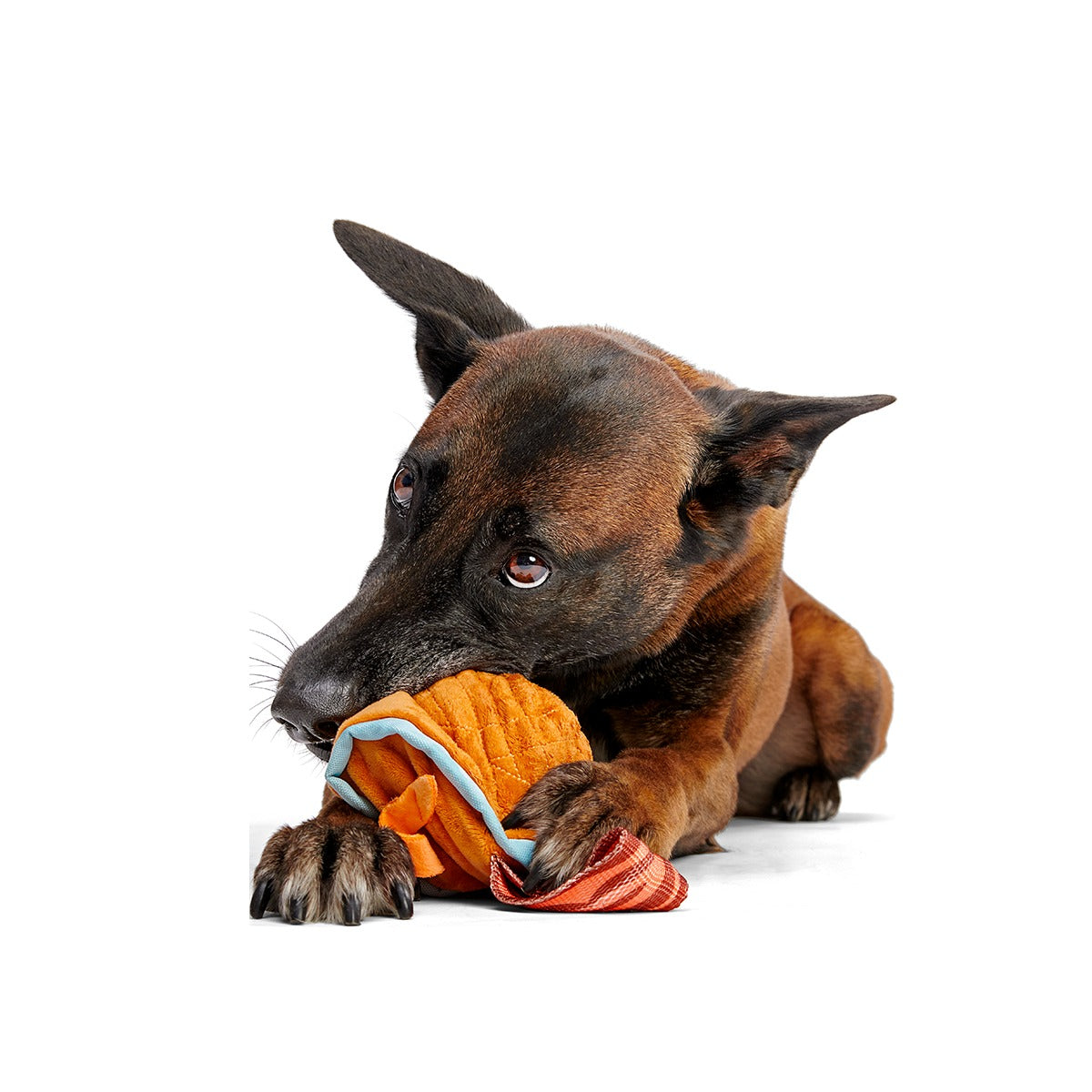 Cocktail Club, Plush Cocktail Monthly Dog Toys