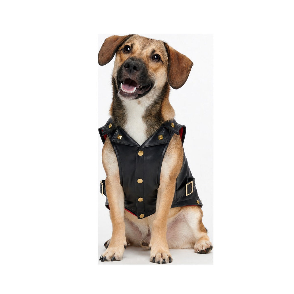 Vest in Peace Dog Vest