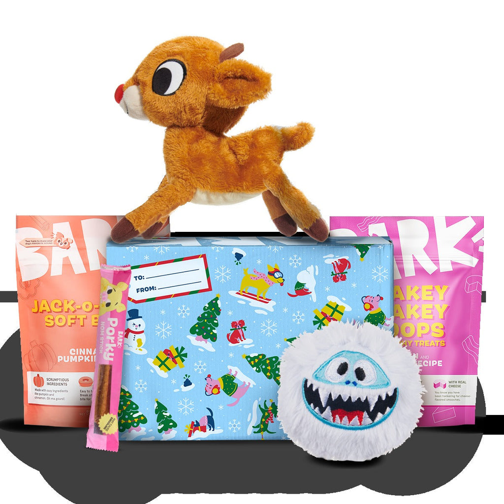 Rudolph® Holiday Gift BarkBox