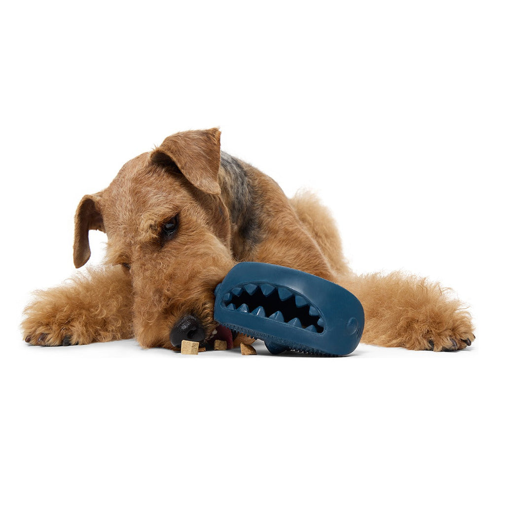 Hammer Fed Shark Super Chewer Durable Enrichment Dog Toy