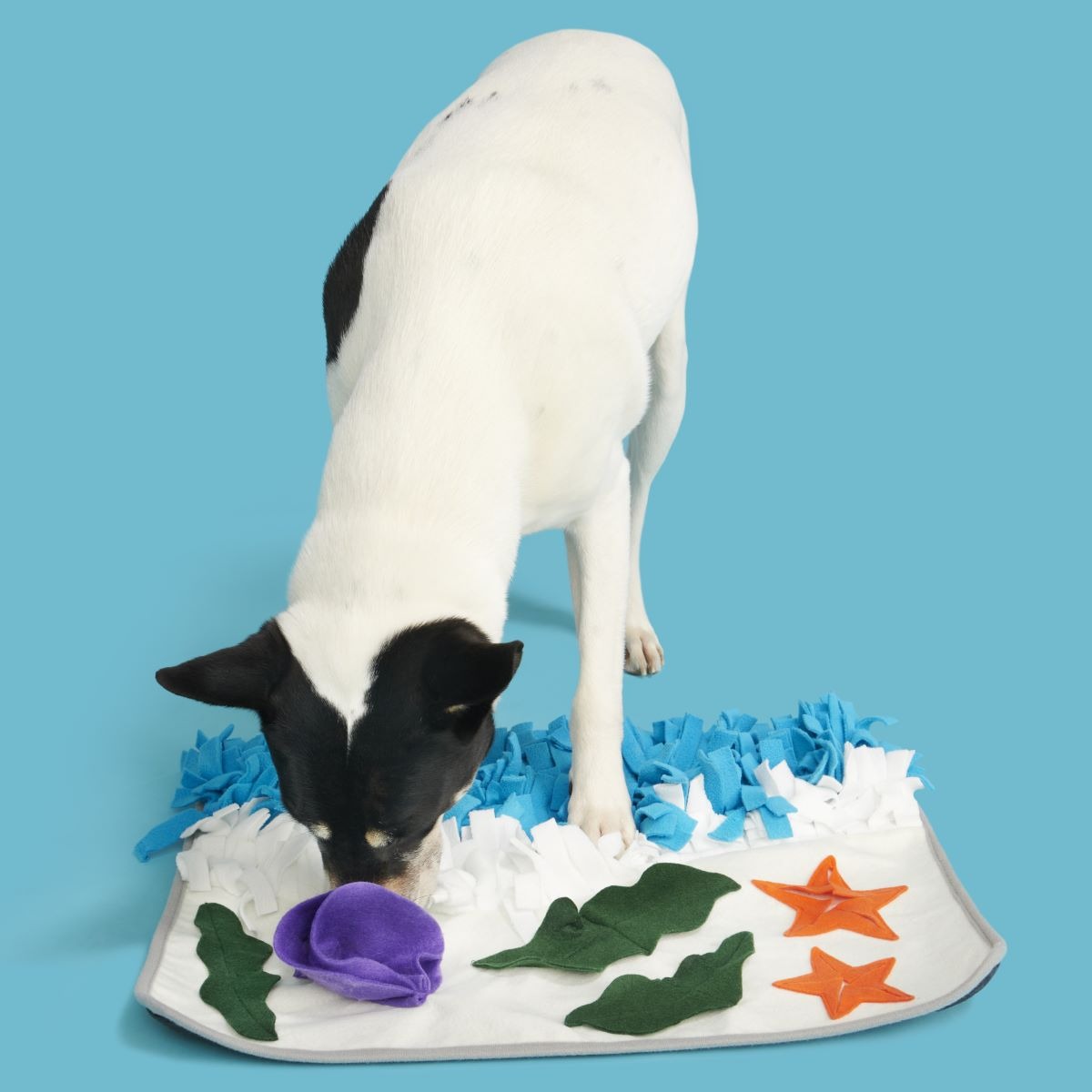 Beach Snuffle Mat Plush Enrichment Dog Toy