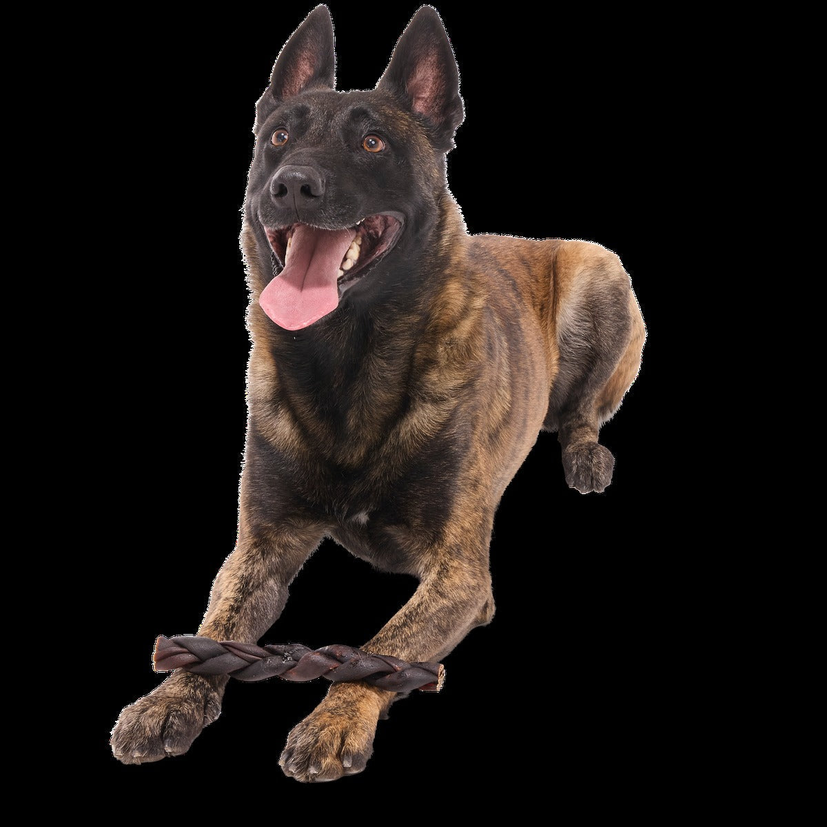 Beef Braided Collagen Dog Chew, Single, 9"