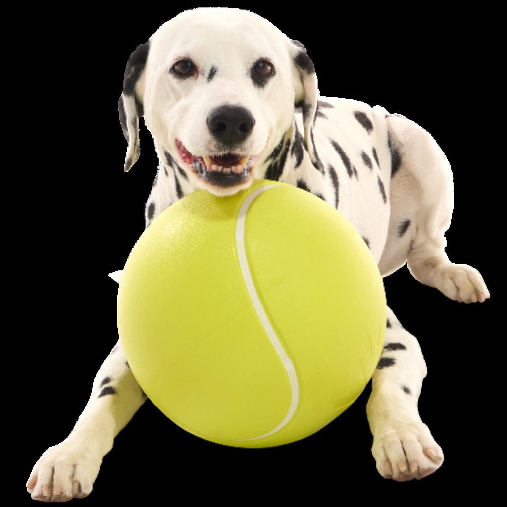 Chompianship Ball Super Chewer Durable Extra-Large + Fetch Dog Toy