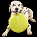 Chompianship Ball Super Chewer Durable Extra-Large + Fetch Dog Toy