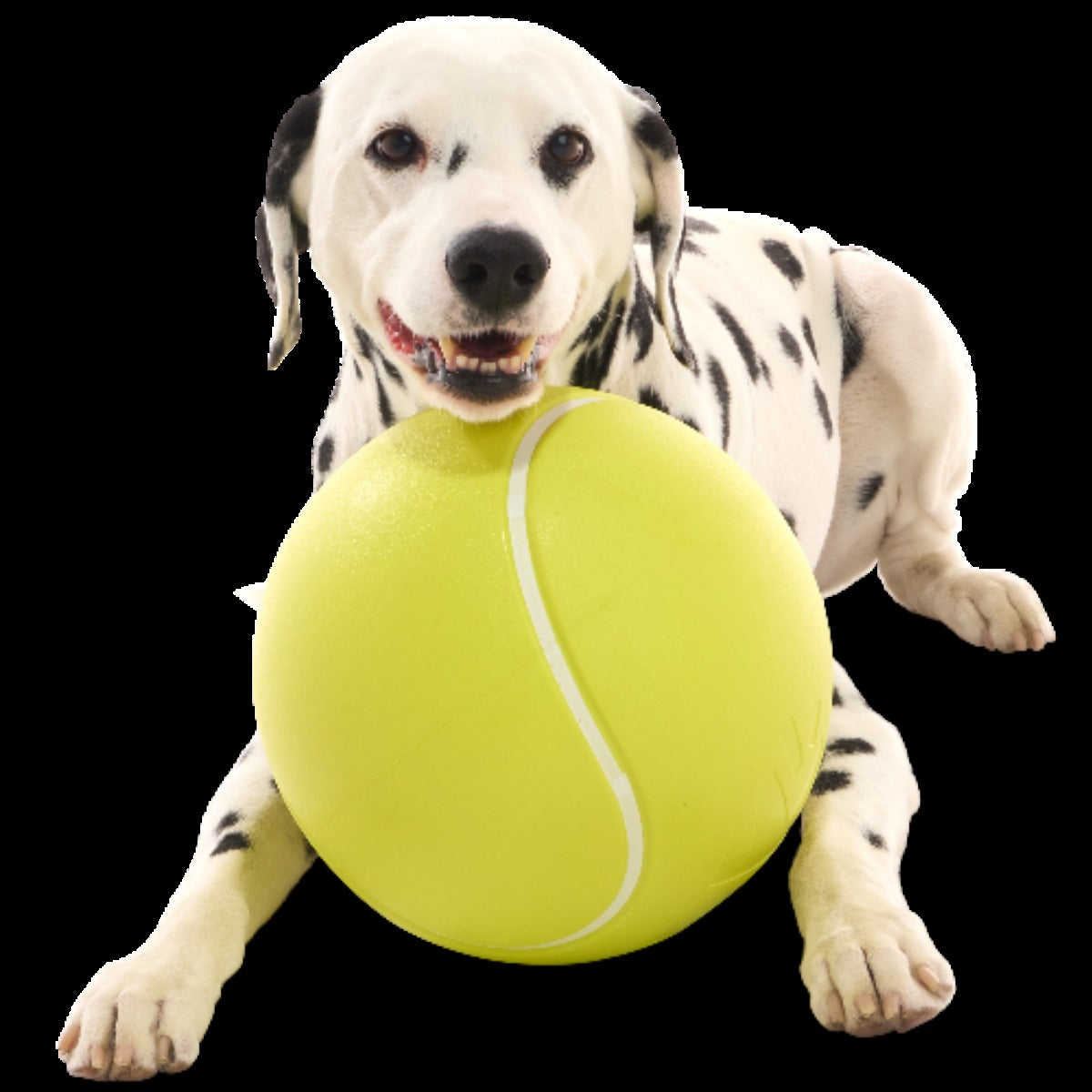 Chompianship Ball Super Chewer Durable Extra-Large + Fetch Dog Toy