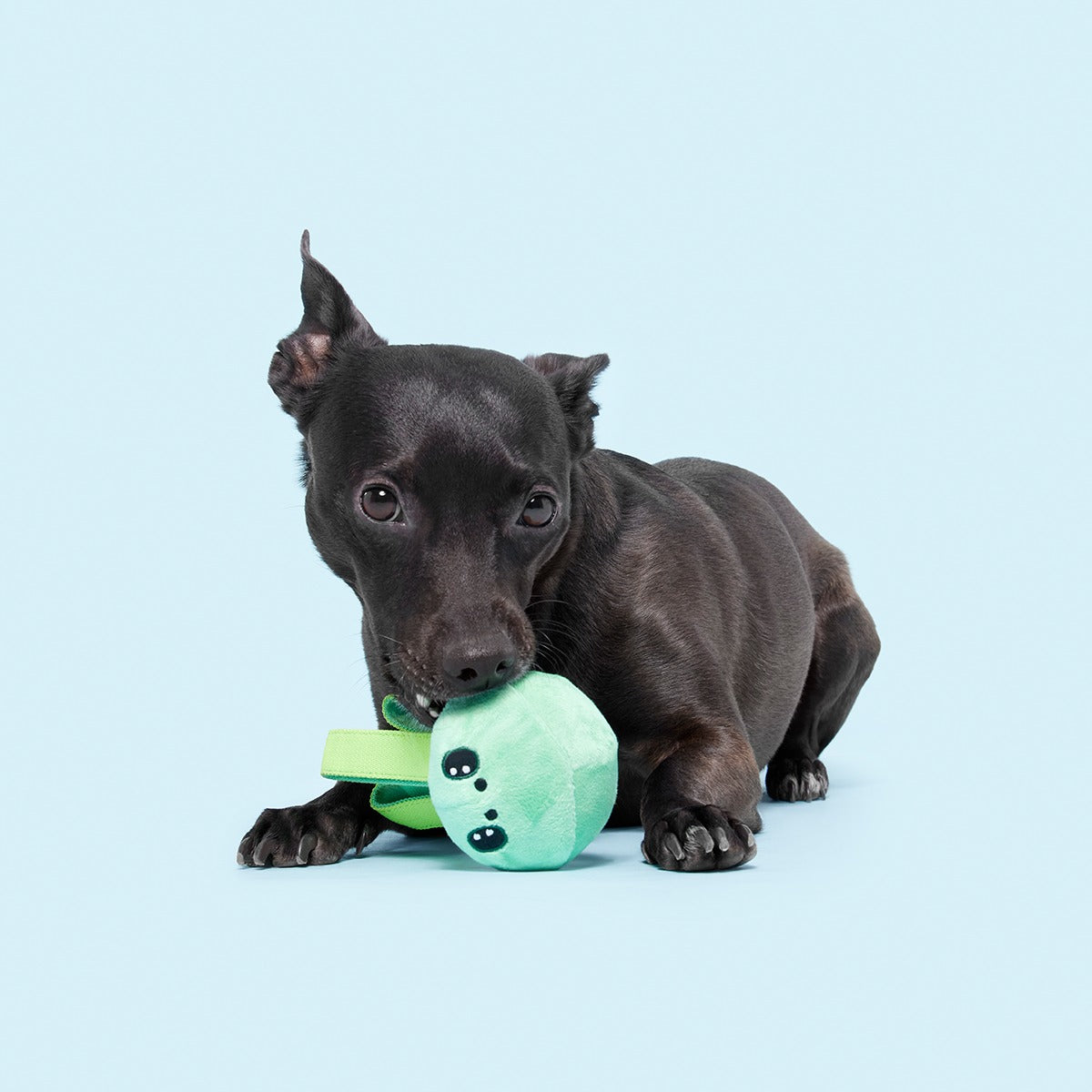 Galactopus Super Chewer Durable 2-in-1 + Tug Dog Toy