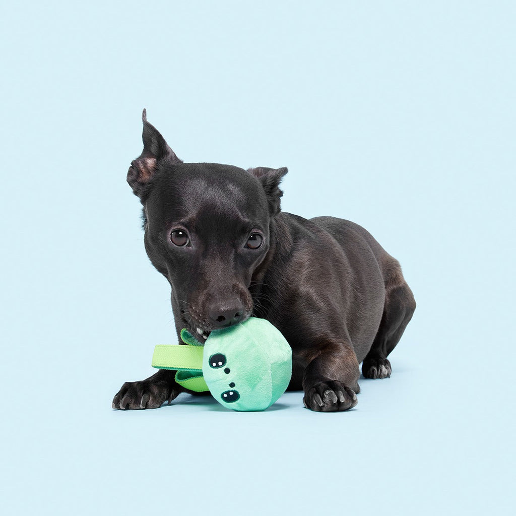 Galactopus Super Chewer Durable 2-in-1 + Tug Dog Toy