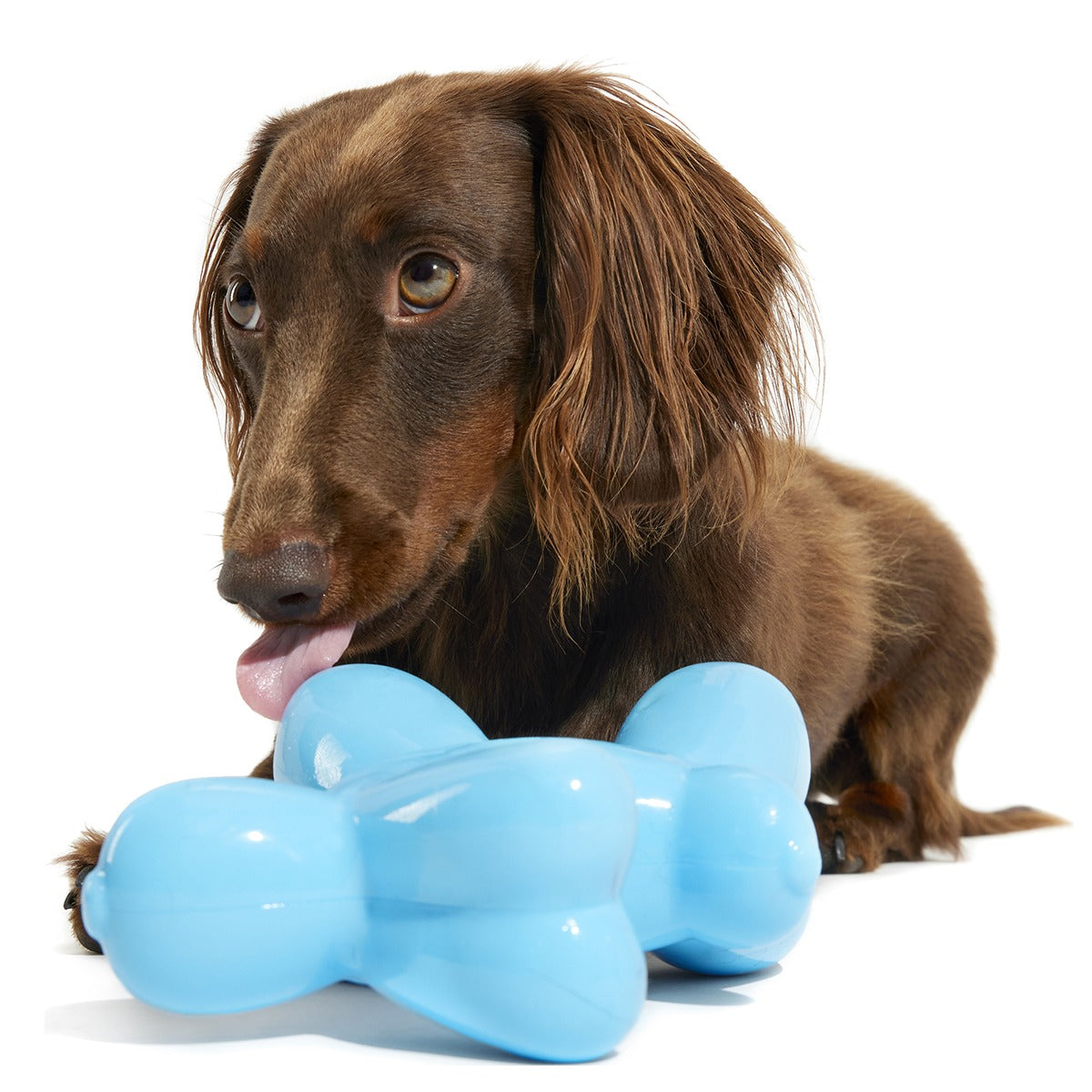 Bob the Balloon Super Chewer Durable Gnaw Dog Toy
