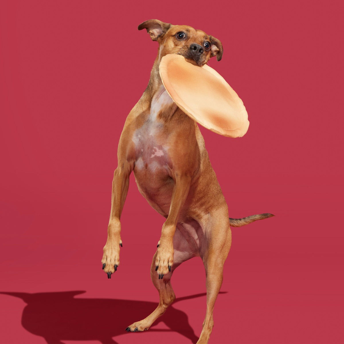Signore Pizza Face Plush Fetch Dog Toy