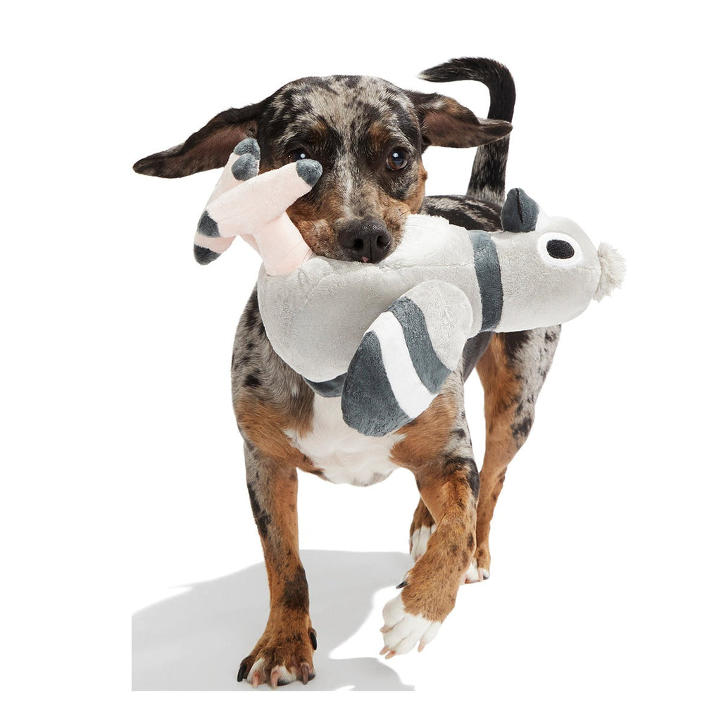 Flappin' Flossie Plush Tug Dog Toy