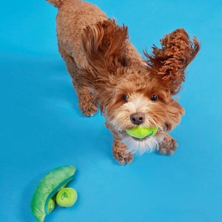 Peas in the Pod Plush Multi-Part + Enrichment + Fetch Dog Toy