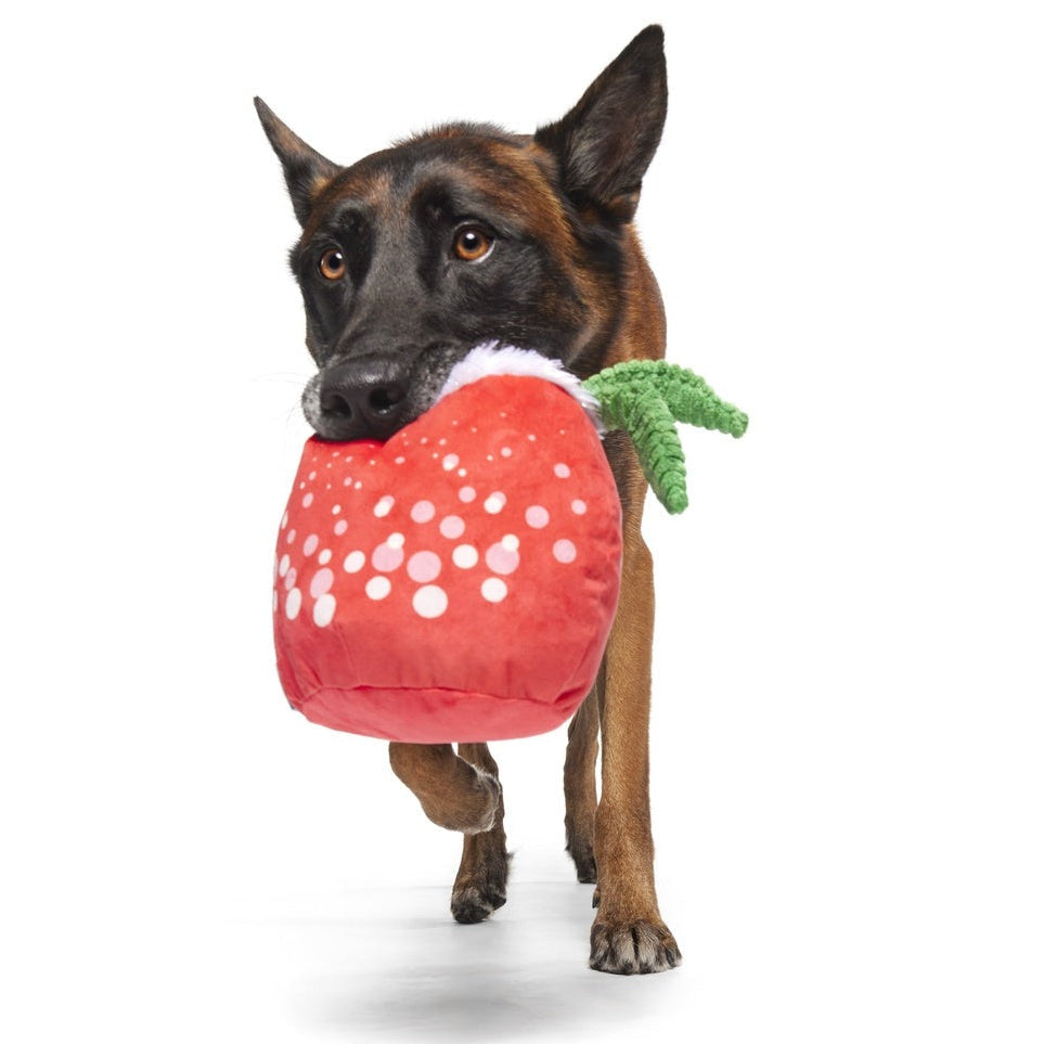 Jingle Juice Plush Dog Toy