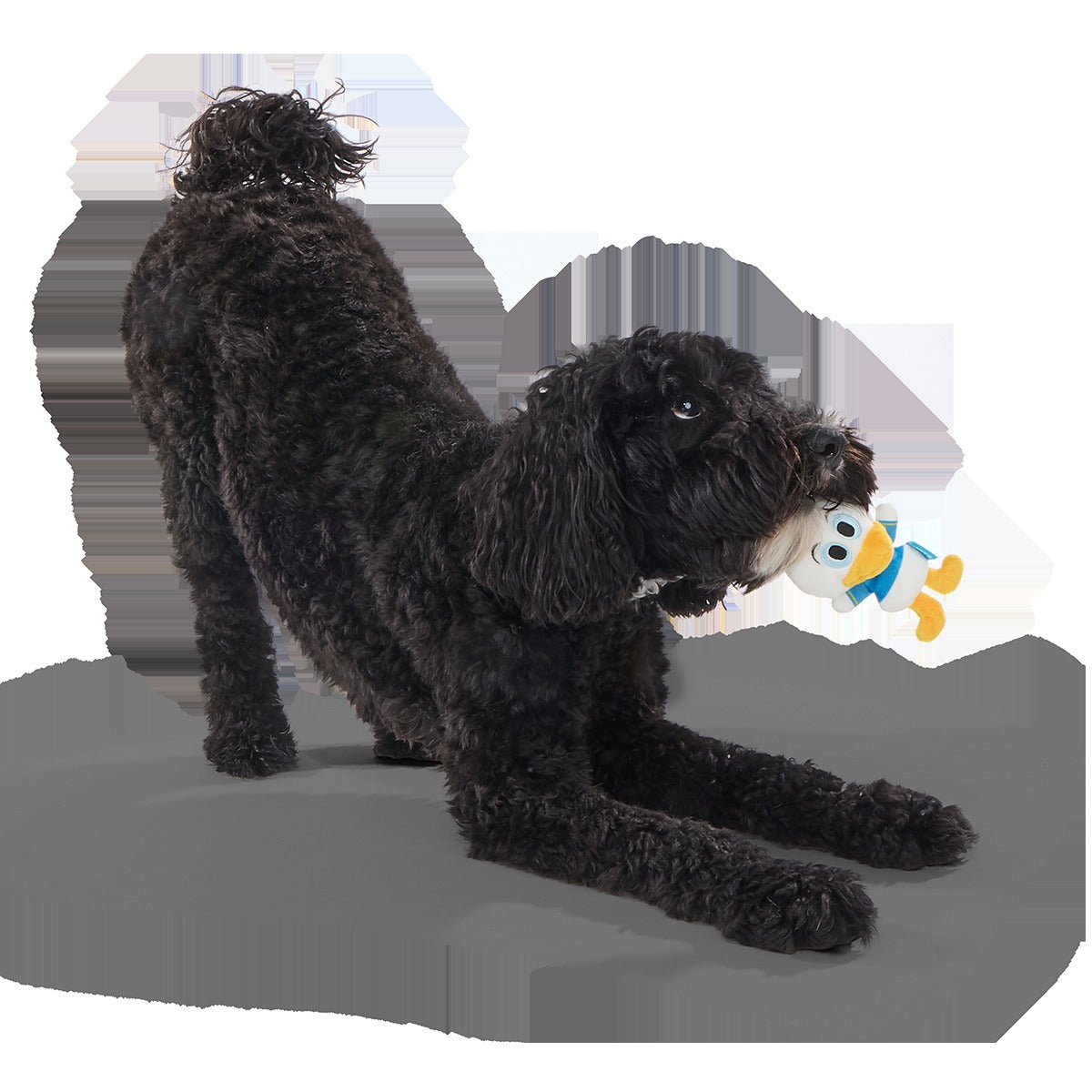 Ducks of a Feather Plush Multi-Part Dog Toy